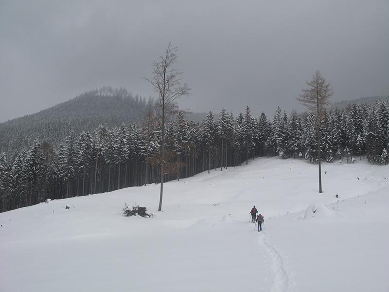 Auf den Weg zum Schwarzkogel